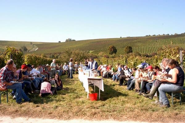 Weinpaket August 2019 - Weingut Brüder Dr. Becker