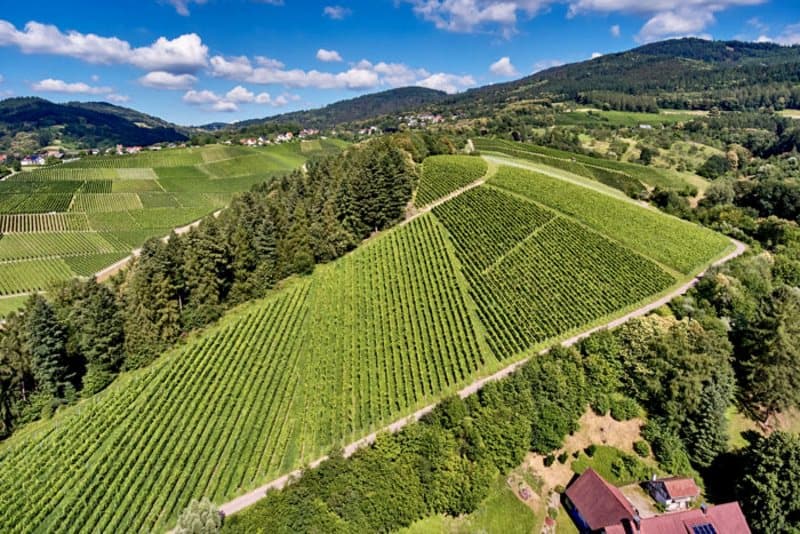 Weinpaket April 2020 - Weingut Freiherr von und zu Franckenstein