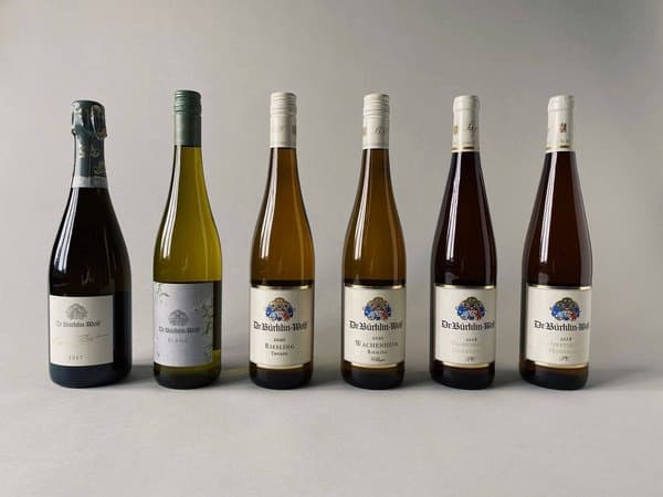 Weinpaket Juni 2021 - Weingut Dr. Bürklin-Wolf