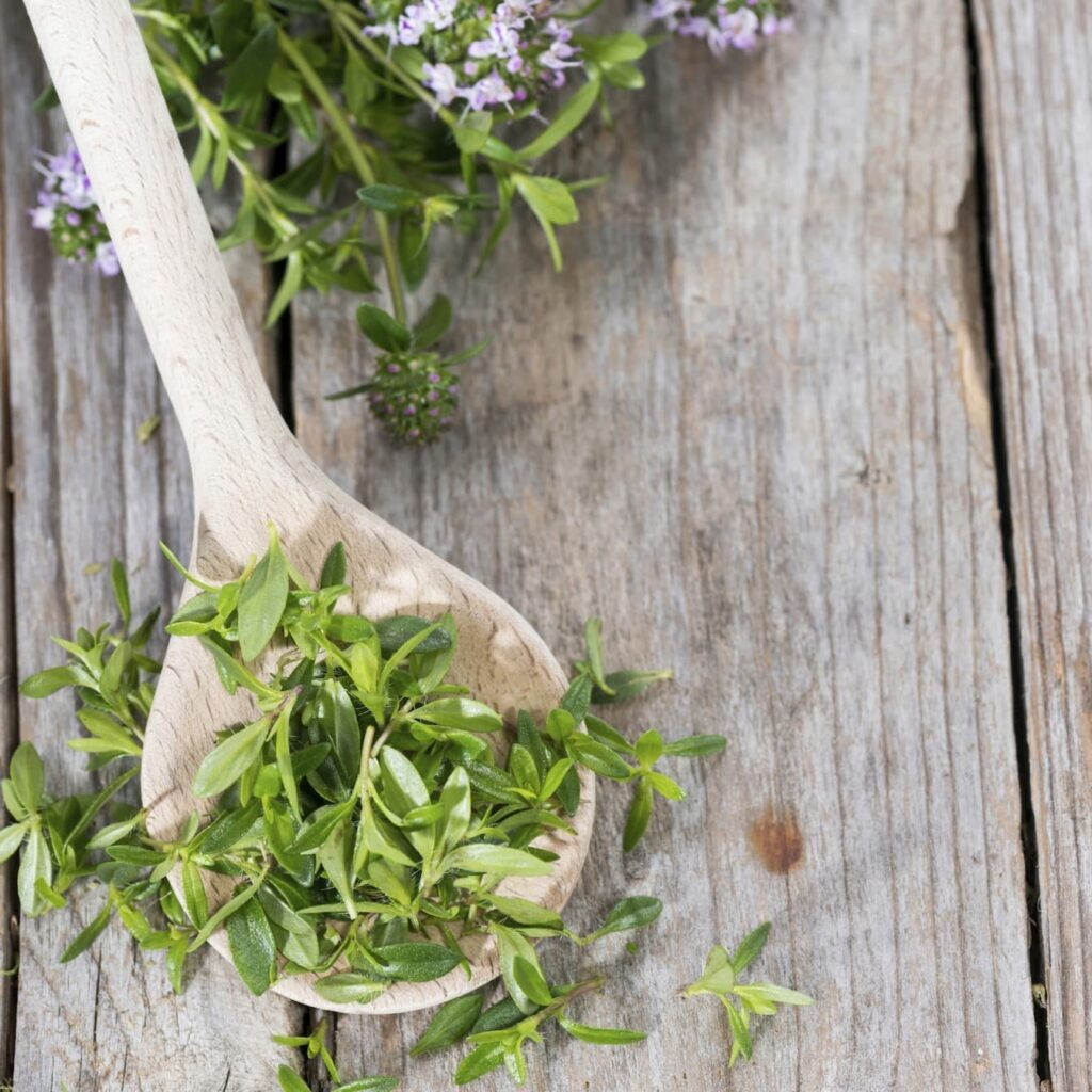 Lammrücken mit Bohnenpüree, Paprika und Bärlauchpesto