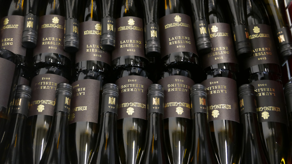 laurenz-mainz-010-laurenz-riesling