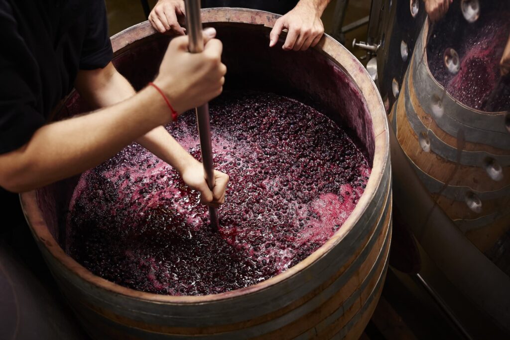 Alles Wissenswerte zu Wein: Von der Weinherstellung bis zum Trinkgenuss. Zu sehen: Maische im Fass