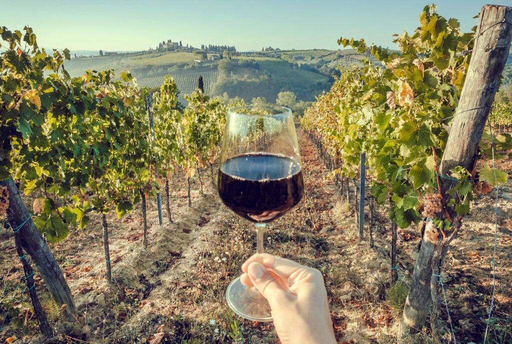Rotwein im Weinberg: Welchen Einfluss haben Boden und Lage auf den Geschmack eines Weines?
