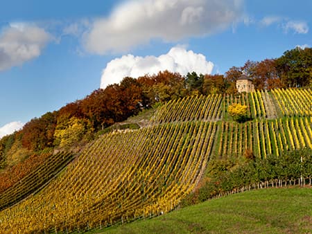 Weinbergslagen des VDP.Weinguts Heitlinger