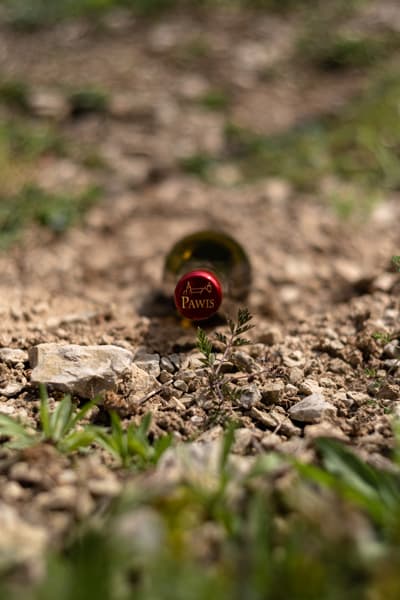 Eine Flasche des Weinguts Pawis liegt im Weinberg auf einem steinigen Boden.