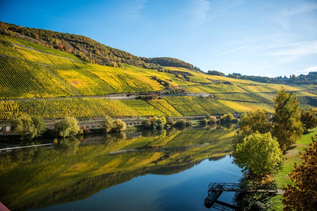 Weingut an der Mosel