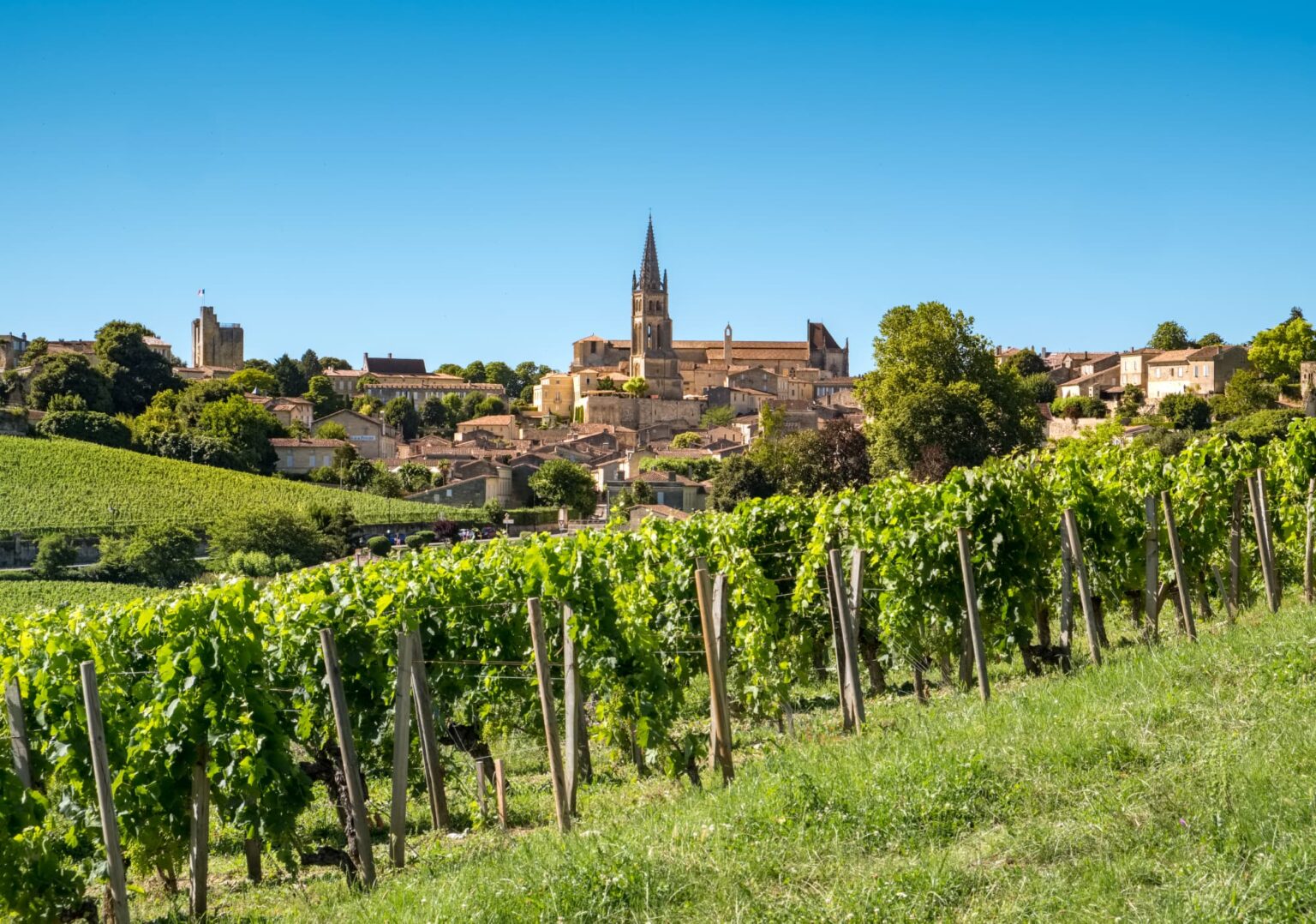 Weinberg Bordeaux