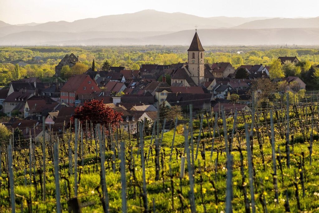 Weingut Burkheim