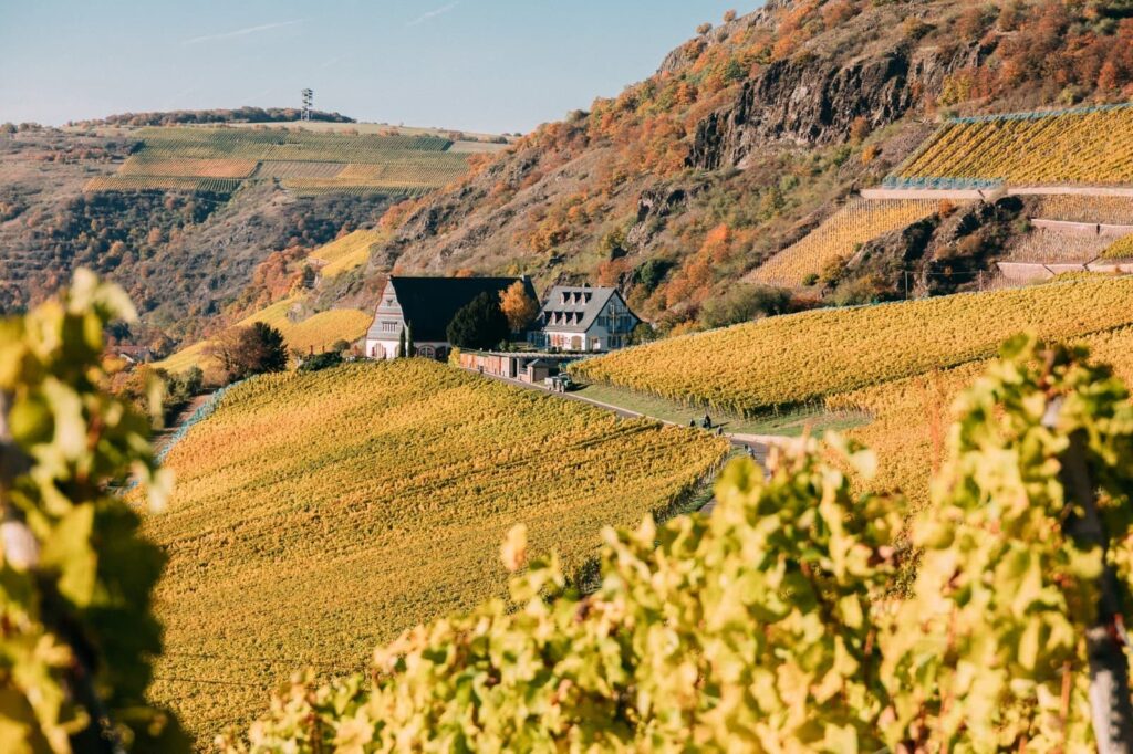 Weingut Hermannsberg, Nahe