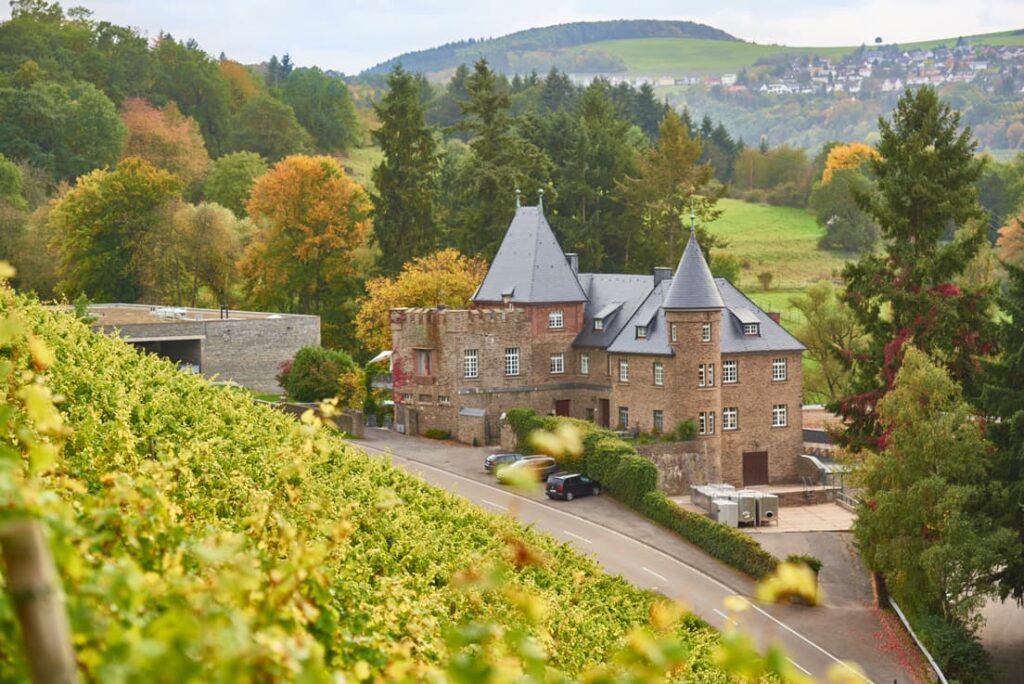 Blick auf Schloss Marienlay aus den umliegenden Weinbergen