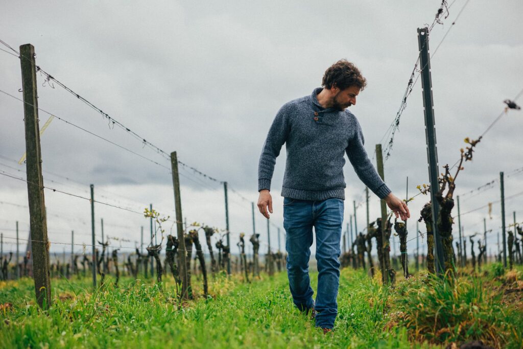 Gunther Hauck vom VDP Weingut Bassermann-Jordan im Weinberg