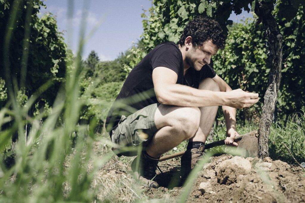 Inhaber Weingut Jülg betrachtet die Erde im Weinberg